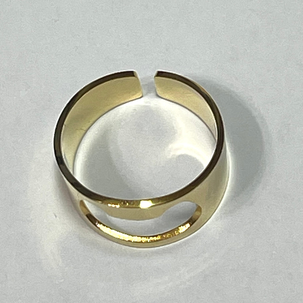Ring: Stainless Steel Cat Head Ring in Gold, also serves as a bottle opener!
