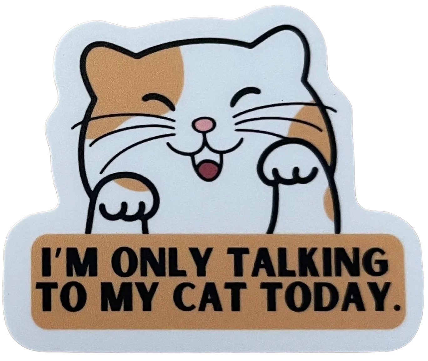 I'm Only Talking to My Cat Today Vinyl Sticker